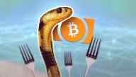 cobra, three forks, bitcoin logo in orange, turquoise blurry background