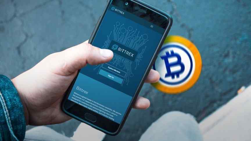 hand holding smartphone showing Bittrex website, Bitcoin Gold logo