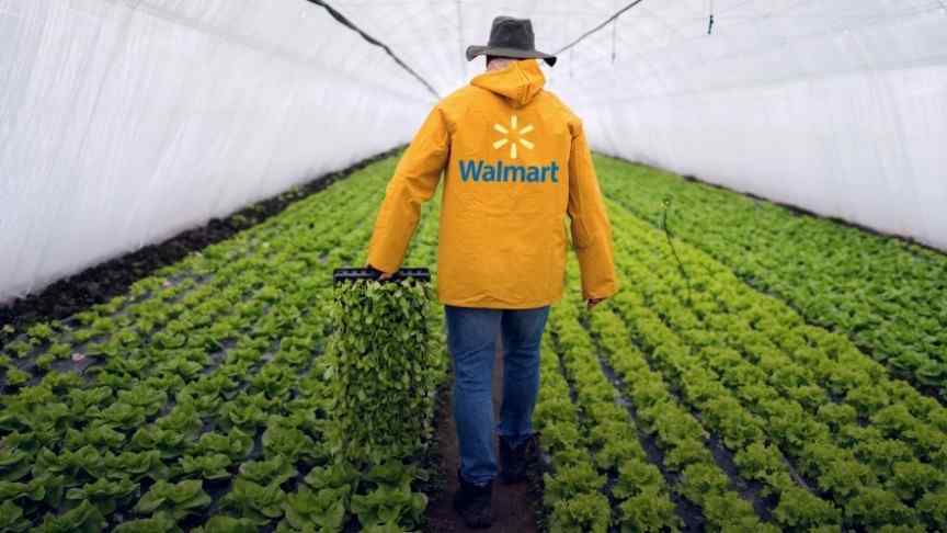 Walmart blockchain lettuce bitstamp eth transaction 0