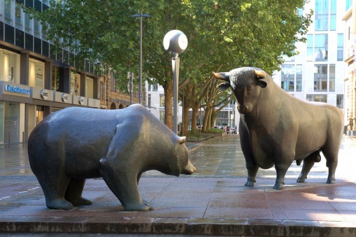 Bull vs. Bear Crypto Market: What's the Difference?