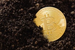 bitcoin price