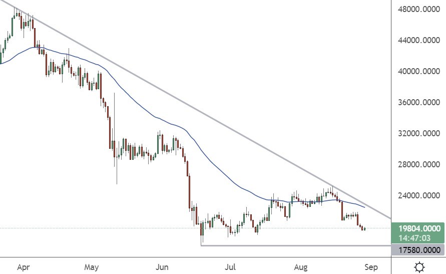 bitcoin price