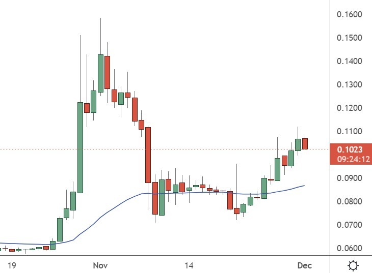 doge price