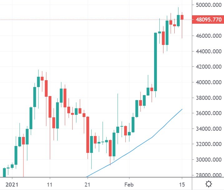 bitcoin rally