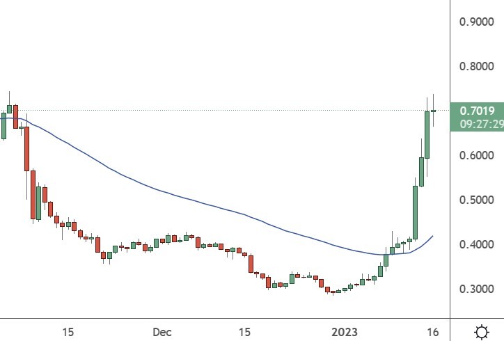 mana coin