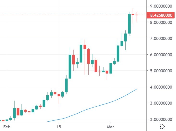 bnt token