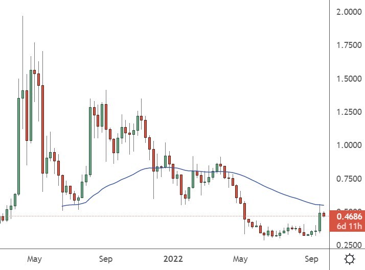 xrp price